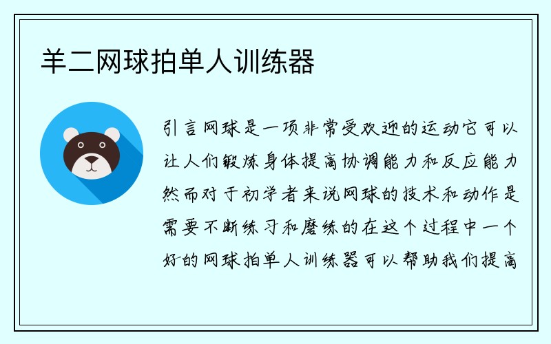 羊二网球拍单人训练器