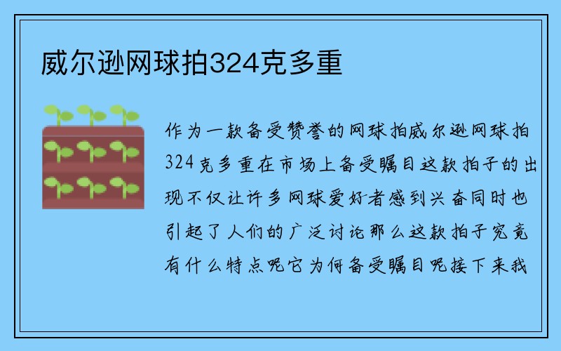 威尔逊网球拍324克多重