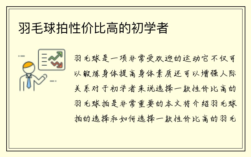 羽毛球拍性价比高的初学者